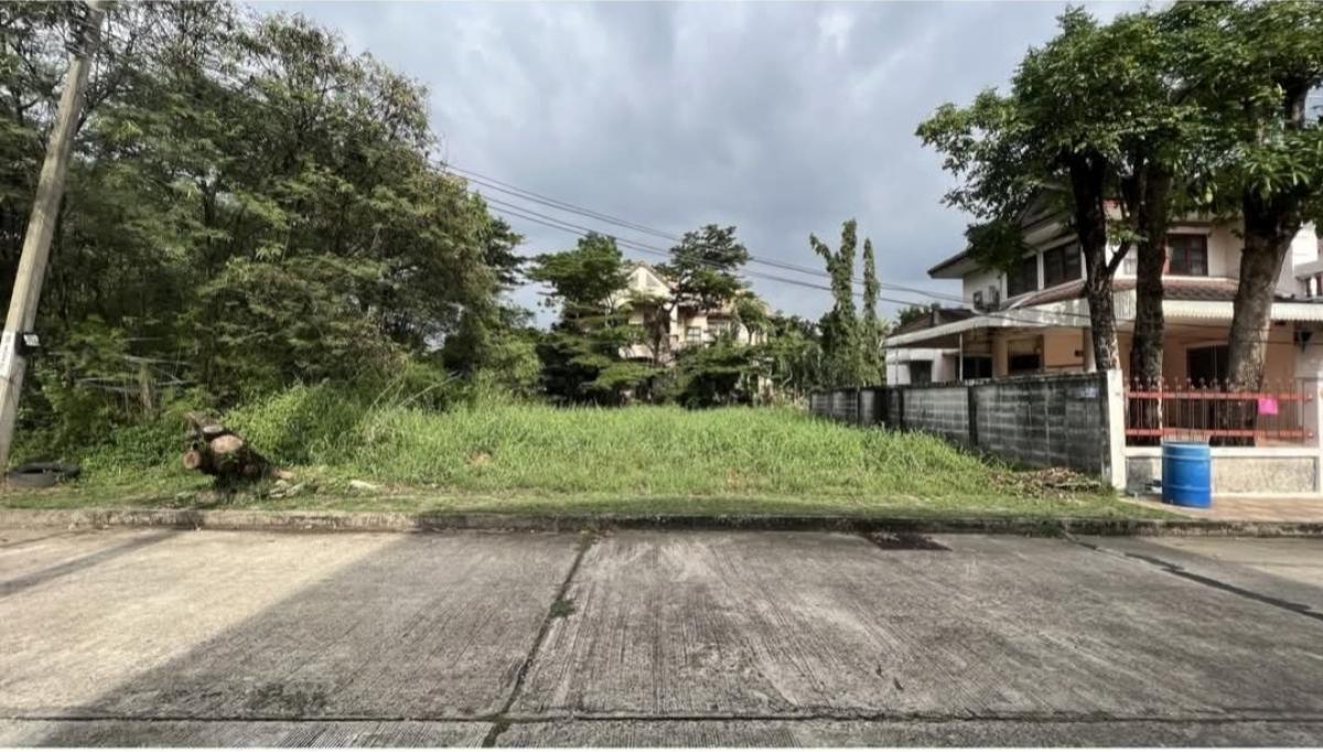 ขายที่ดินพุทธมณฑล ศาลายา : ขายโครงการ กฤษดานคร 20 หน้ากว้าง ศาลาธรรมสพน์ เขต ทวีวัฒนา กรุงเทพ CX-137094