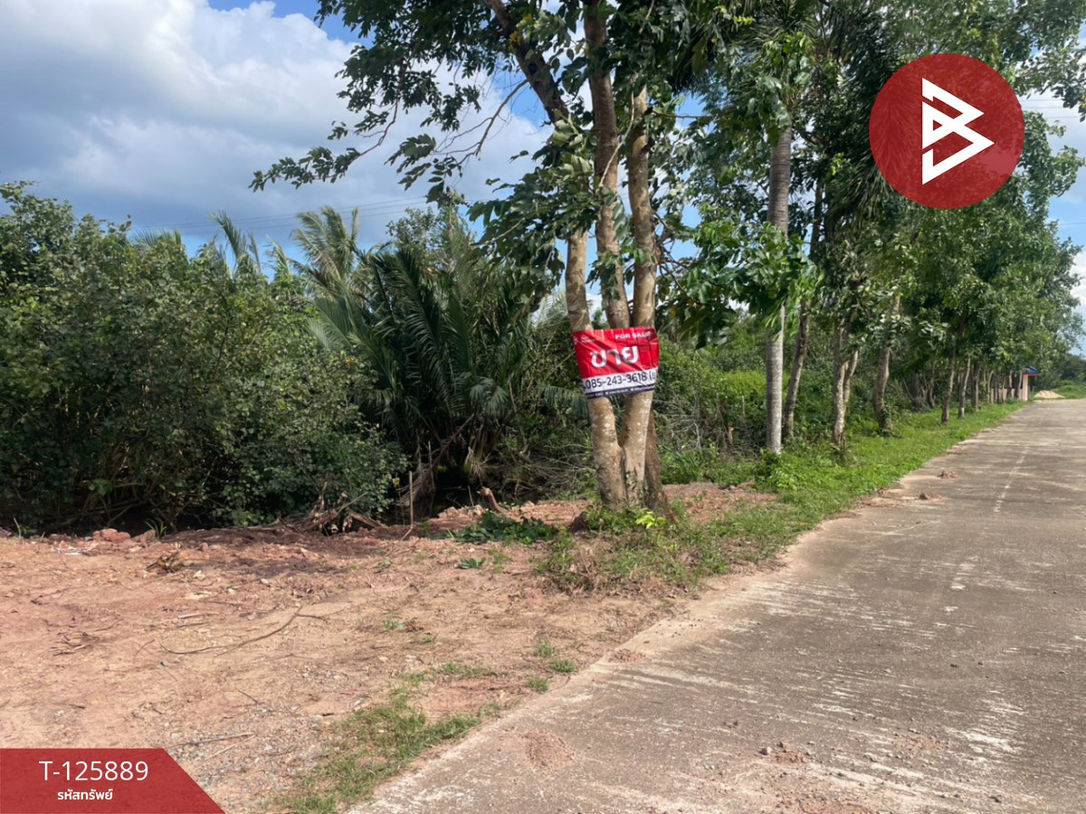 For SaleLandChumphon : Empty land for sale, area 10 rai, Tha Yang, Mueang Chumphon, Chumphon