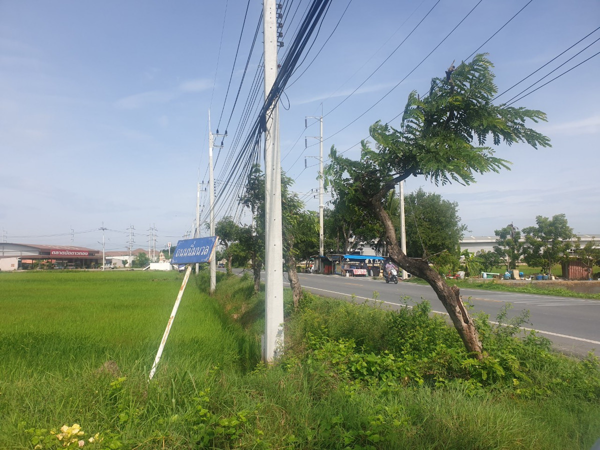 ขายที่ดินพุทธมณฑล ศาลายา : 94653 - ขายที่ดิน 29 ไร่ 1 งาน 32 ตร.ว. พุทธมณฑล จ.นครปฐม