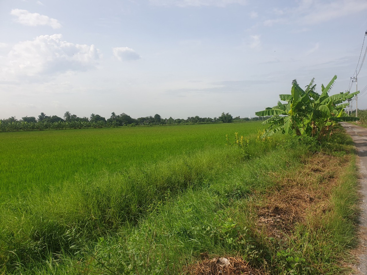 ขายที่ดินพุทธมณฑล ศาลายา : 94653 - ขายที่ดิน 29 ไร่ 1 งาน 32 ตร.ว. พุทธมณฑล จ.นครปฐม