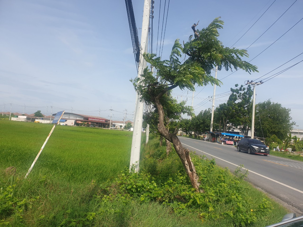 ขายที่ดินพุทธมณฑล ศาลายา : 94653 - ขายที่ดิน 29 ไร่ 1 งาน 32 ตร.ว. พุทธมณฑล จ.นครปฐม