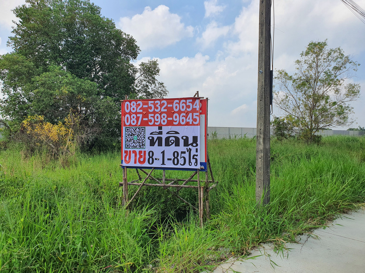 For SaleLandPathum Thani,Rangsit, Thammasat : 🔥 The plot is very beautiful! Pink land plan, 8 rai, Bang Khu Wat, front width almost 330 m., in a community zone - has potential. Grows in the city of Pathum Suitable for immediate project, title deed ready! 🔥