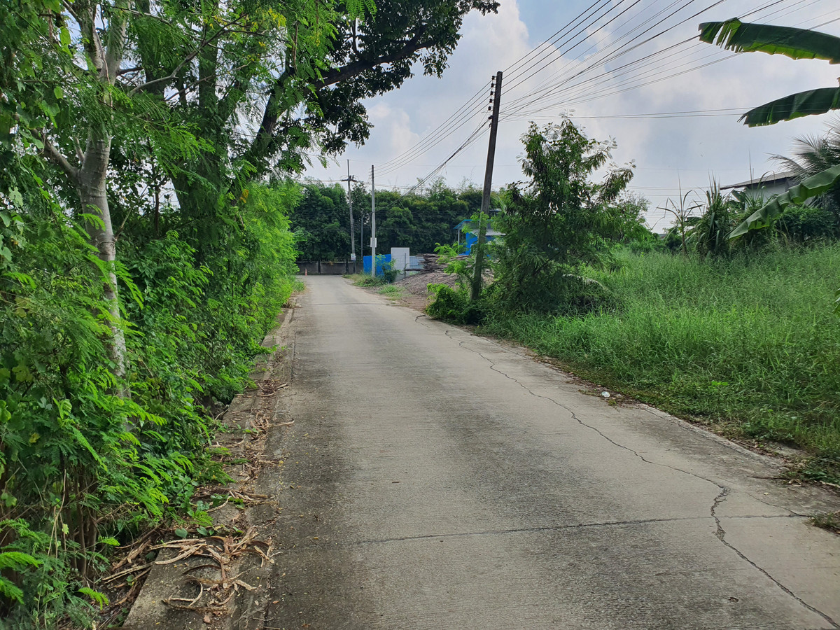 For SaleLandPathum Thani,Rangsit, Thammasat : 🔥 The plot is very beautiful! Pink land plan, 8 rai, Bang Khu Wat, front width almost 330 m., in a community zone - has potential. Grows in the city of Pathum Suitable for immediate project, title deed ready! 🔥