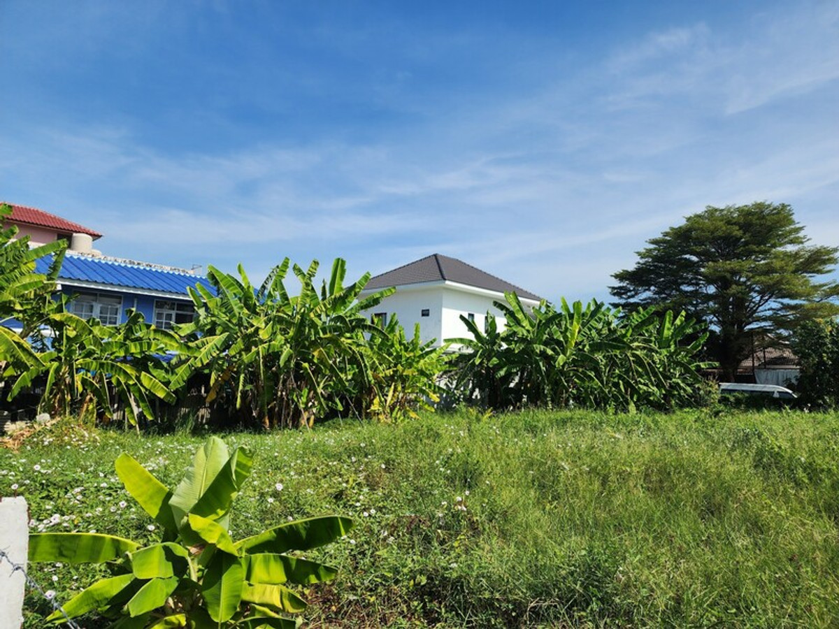 ขายที่ดินปทุมธานี รังสิต ธรรมศาสตร์ : 88471 - ขายที่ดินถมแล้ว ล้อมรั้วรอบ ทำการเกษตร 336 ตรว. ลำลูกกา ปทุมธานี