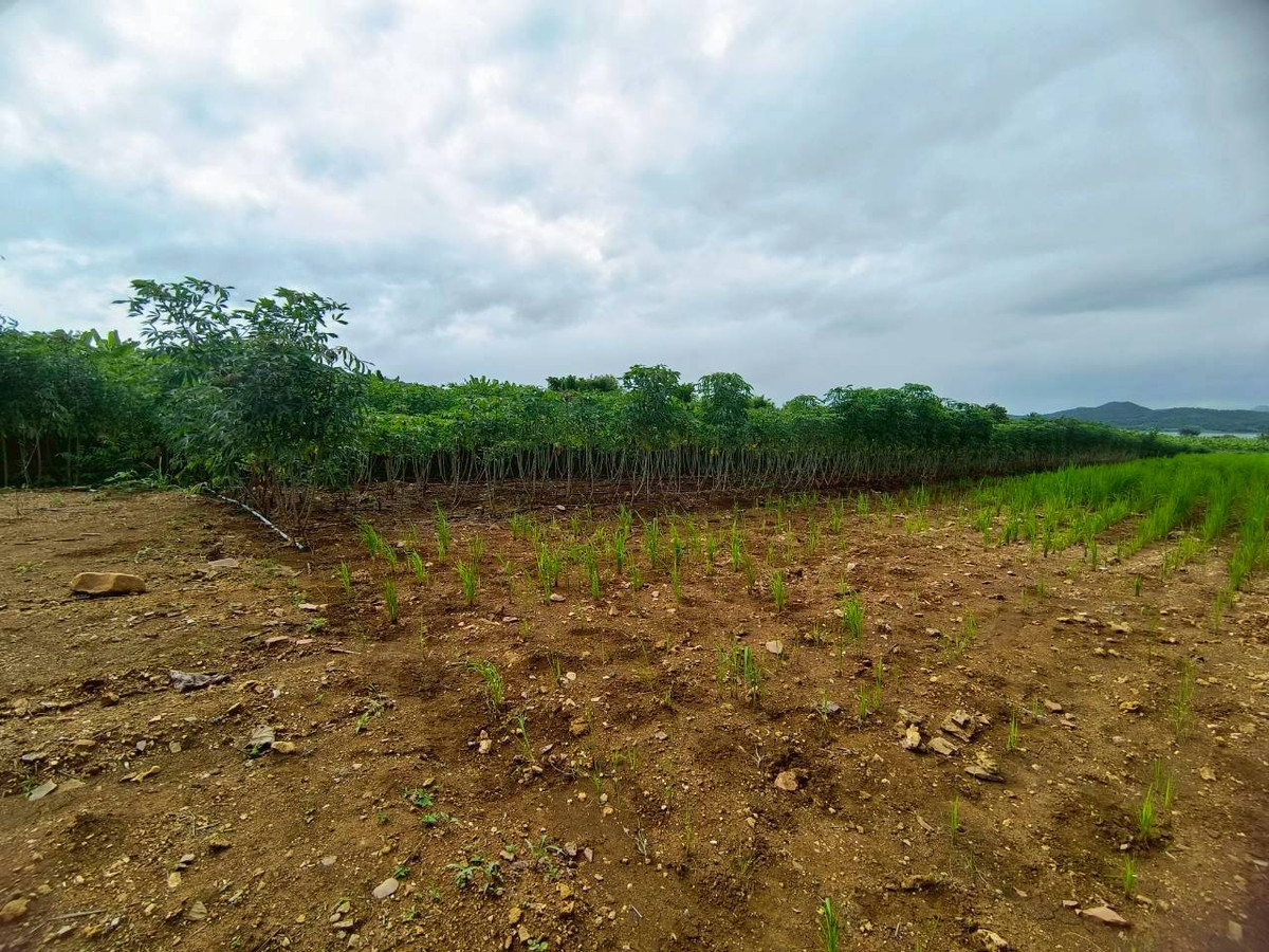 ขายที่ดินกาญจนบุรี : 95018 - ขายที่ดินเปล่า 3-1-51.2 ไร่ ใกล้เขื่อนศรีนครินทร์ - ทำเลธรรมชาติ วิวเขื่อน รายล้อมด้วยแหล่งท่องเที่ยวชื่อดัง