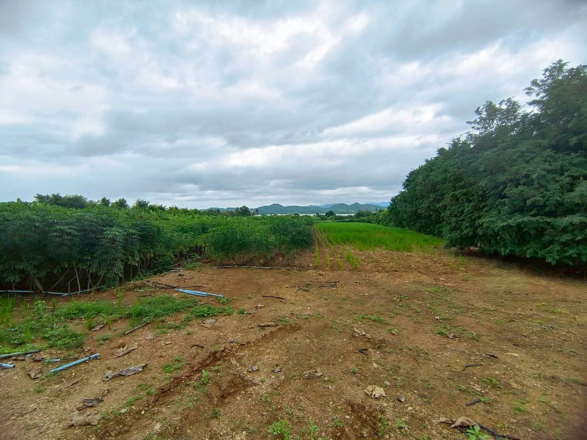 ขายที่ดินกาญจนบุรี : 95018 - ขายที่ดินเปล่า 3-1-51.2 ไร่ ใกล้เขื่อนศรีนครินทร์ - ทำเลธรรมชาติ วิวเขื่อน รายล้อมด้วยแหล่งท่องเที่ยวชื่อดัง