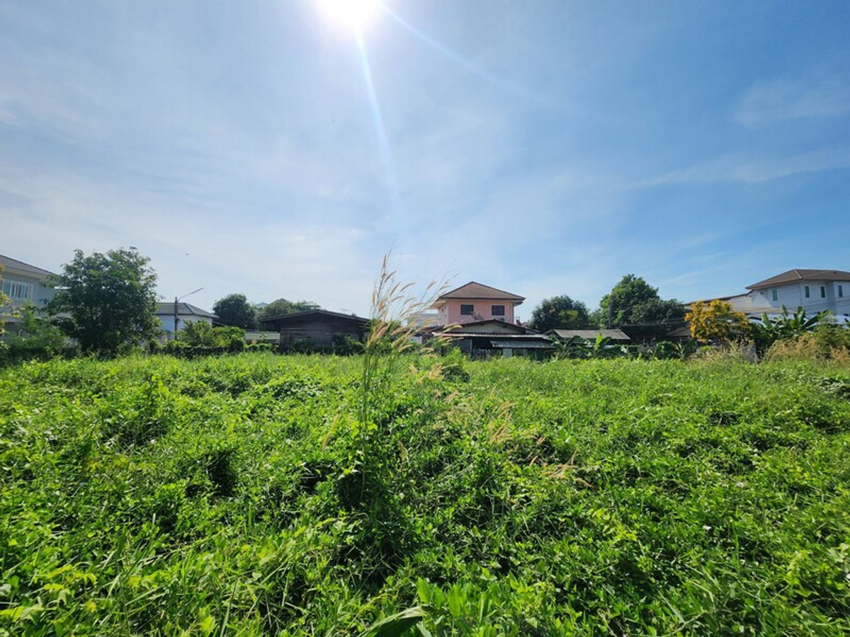 ขายที่ดินปทุมธานี รังสิต ธรรมศาสตร์ : 88471 - ขายที่ดินถมแล้ว ล้อมรั้วรอบ ทำการเกษตร 336 ตรว. ลำลูกกา ปทุมธานี