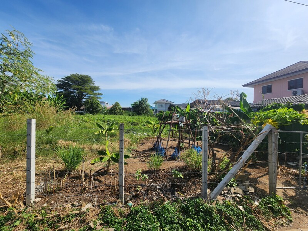 ขายที่ดินปทุมธานี รังสิต ธรรมศาสตร์ : 88471 - ขายที่ดินถมแล้ว ล้อมรั้วรอบ ทำการเกษตร 336 ตรว. ลำลูกกา ปทุมธานี
