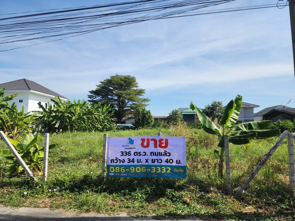 ขายที่ดินปทุมธานี รังสิต ธรรมศาสตร์ : 88471 - ขายที่ดินถมแล้ว ล้อมรั้วรอบ ทำการเกษตร 336 ตรว. ลำลูกกา ปทุมธานี