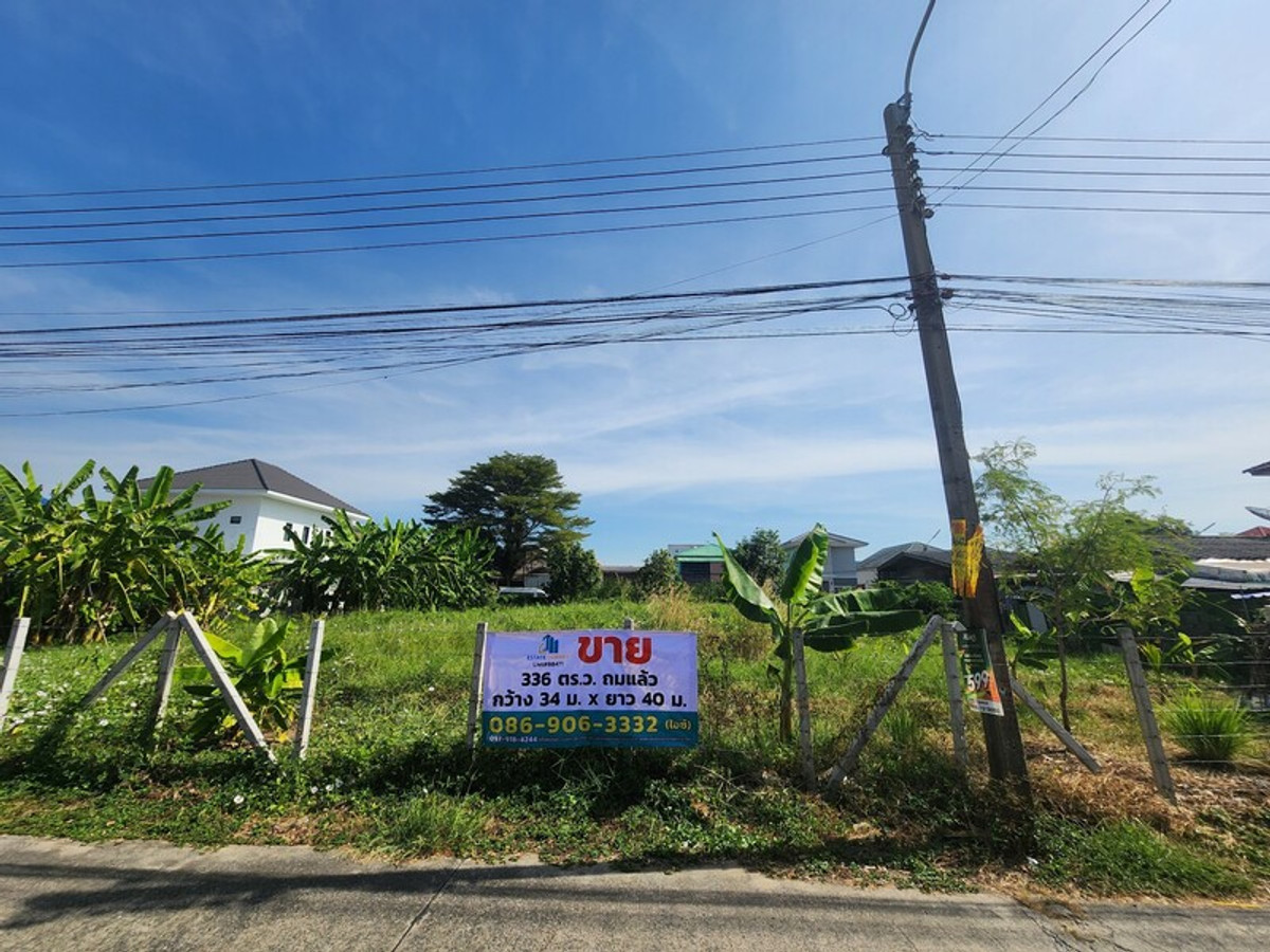 ขายที่ดินปทุมธานี รังสิต ธรรมศาสตร์ : 88471 - ขายที่ดินถมแล้ว ล้อมรั้วรอบ ทำการเกษตร 336 ตรว. ลำลูกกา ปทุมธานี