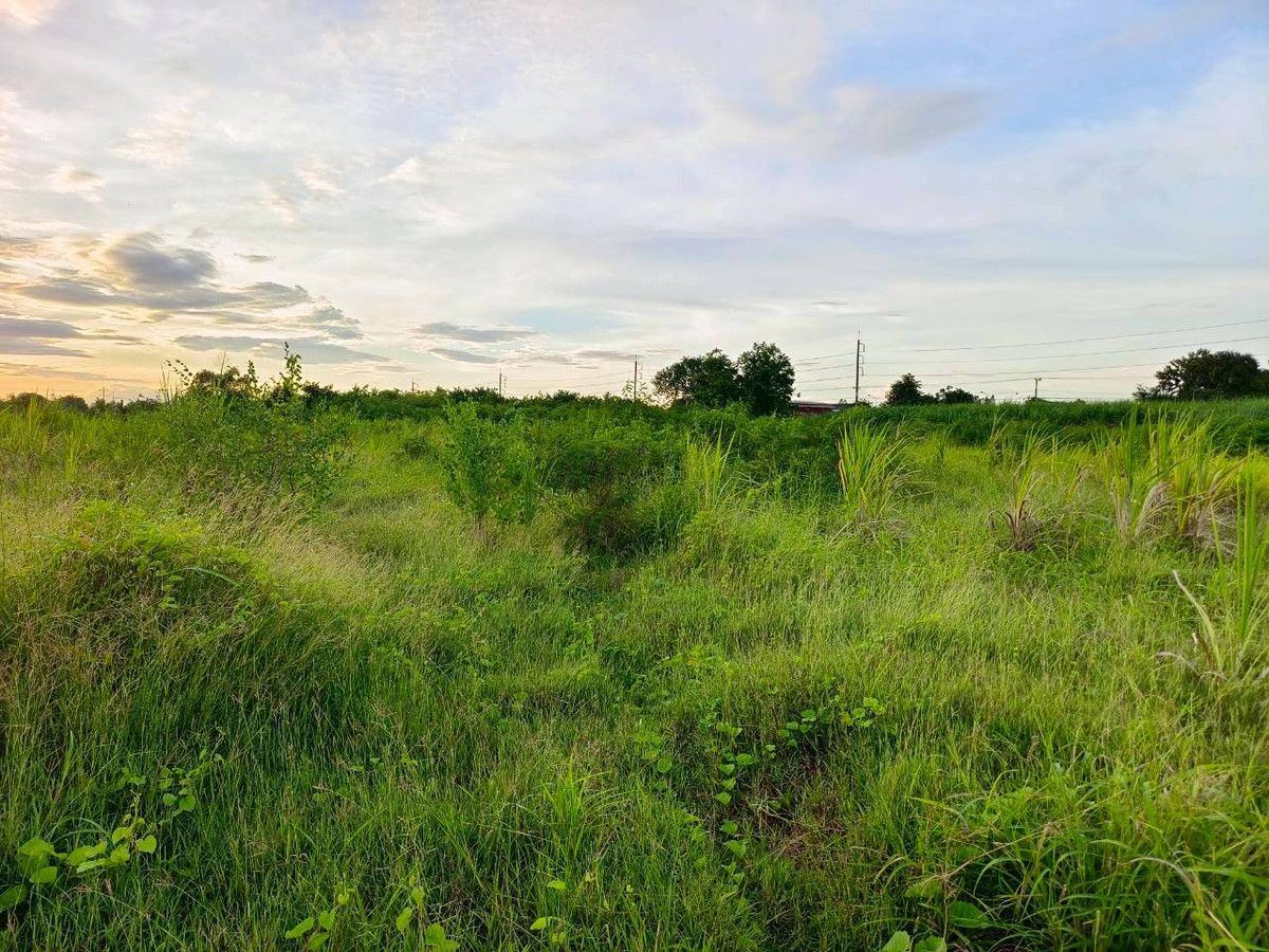 ขายที่ดินกาญจนบุรี : 95020 - ขายที่ดินเปล่า 5-3-46 ไร่ ทำเลดีมาก ใกล้ถนนแสงชูโต เพียง 150 เมตร - วังศาลา ท่าม่วง กาญจนบุรี