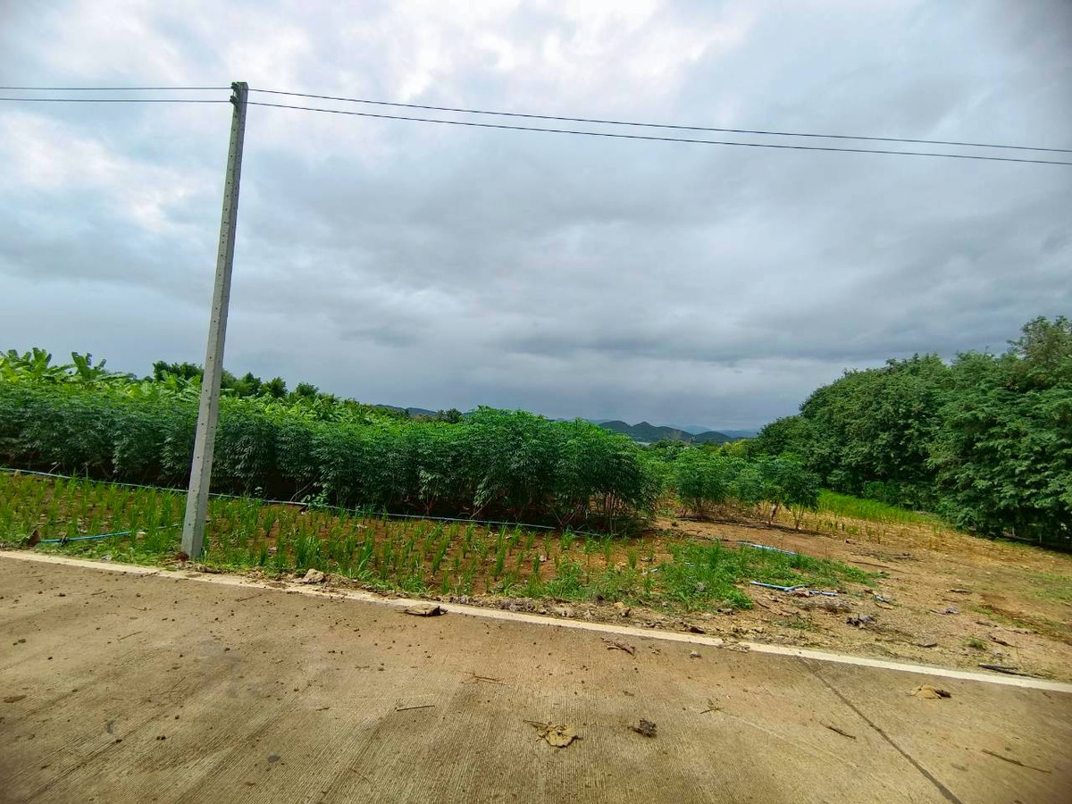 ขายที่ดินกาญจนบุรี : 95018 - ขายที่ดินเปล่า 3-1-51.2 ไร่ ใกล้เขื่อนศรีนครินทร์ - ทำเลธรรมชาติ วิวเขื่อน รายล้อมด้วยแหล่งท่องเที่ยวชื่อดัง