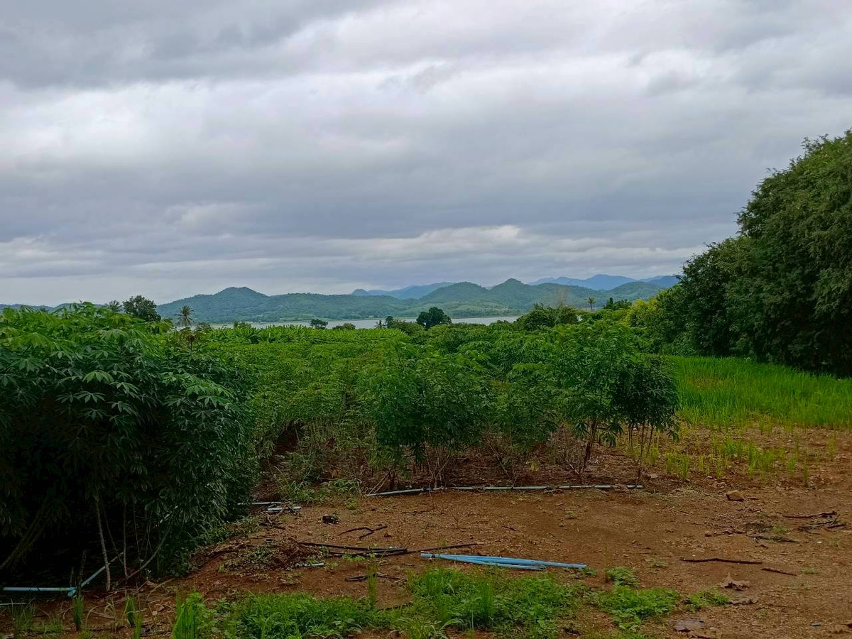 For SaleLandKanchanaburi : 95018 - Empty land for sale, area 3-1-51.2 rai, near Srinakarin Dam, Kanchanaburi Province, surrounded by nature and famous tourist attractions. Next to a public road, water and electricity ready.