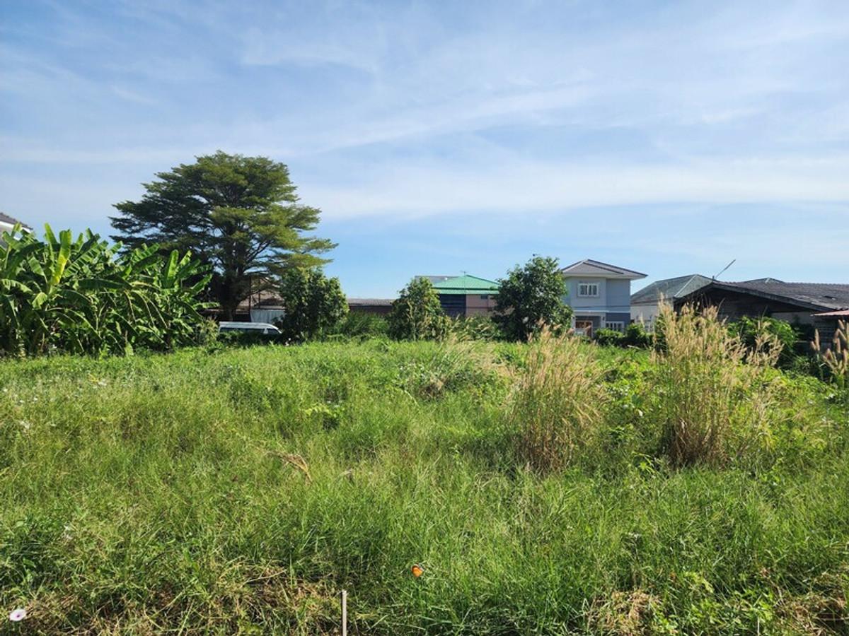 ขายที่ดินปทุมธานี รังสิต ธรรมศาสตร์ : 88471 - ขายที่ดินถมแล้ว ล้อมรั้วรอบ ทำการเกษตร 336 ตรว. ลำลูกกา ปทุมธานี