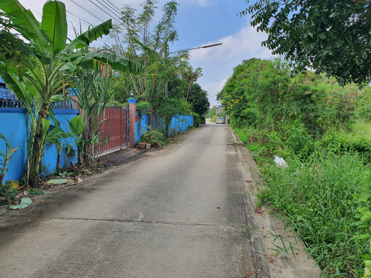 For SaleLandPathum Thani,Rangsit, Thammasat : 🔥 The plot is very beautiful! Pink land plan, 8 rai, Bang Khu Wat, front width almost 330 m., in a community zone - has potential. Grows in the city of Pathum Suitable for immediate project, title deed ready! 🔥