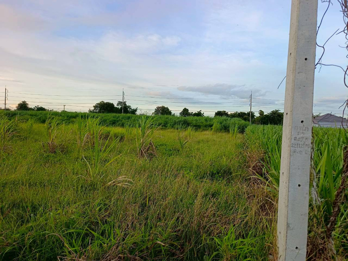 ขายที่ดินกาญจนบุรี : 95020 - ขายที่ดินเปล่า 5-3-46 ไร่ ทำเลดีมาก ใกล้ถนนแสงชูโต เพียง 150 เมตร - วังศาลา ท่าม่วง กาญจนบุรี