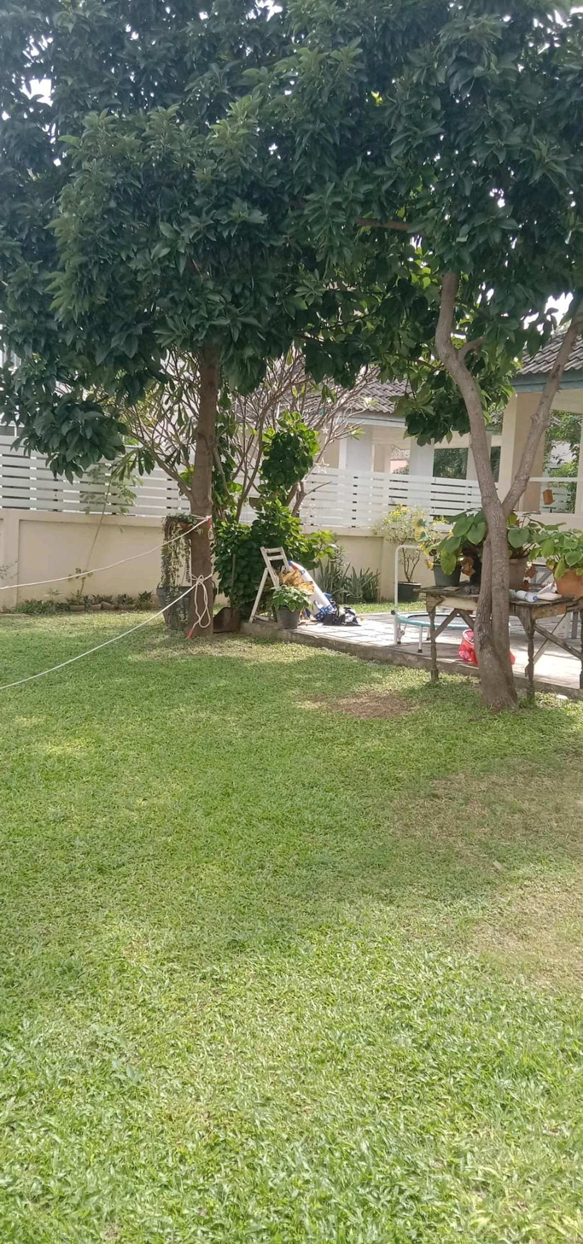 ขายบ้านพระราม 2 บางขุนเทียน : ขายบ้านเดี่ยว 6.5ล้าน (พร้อมผู้เช่า) 