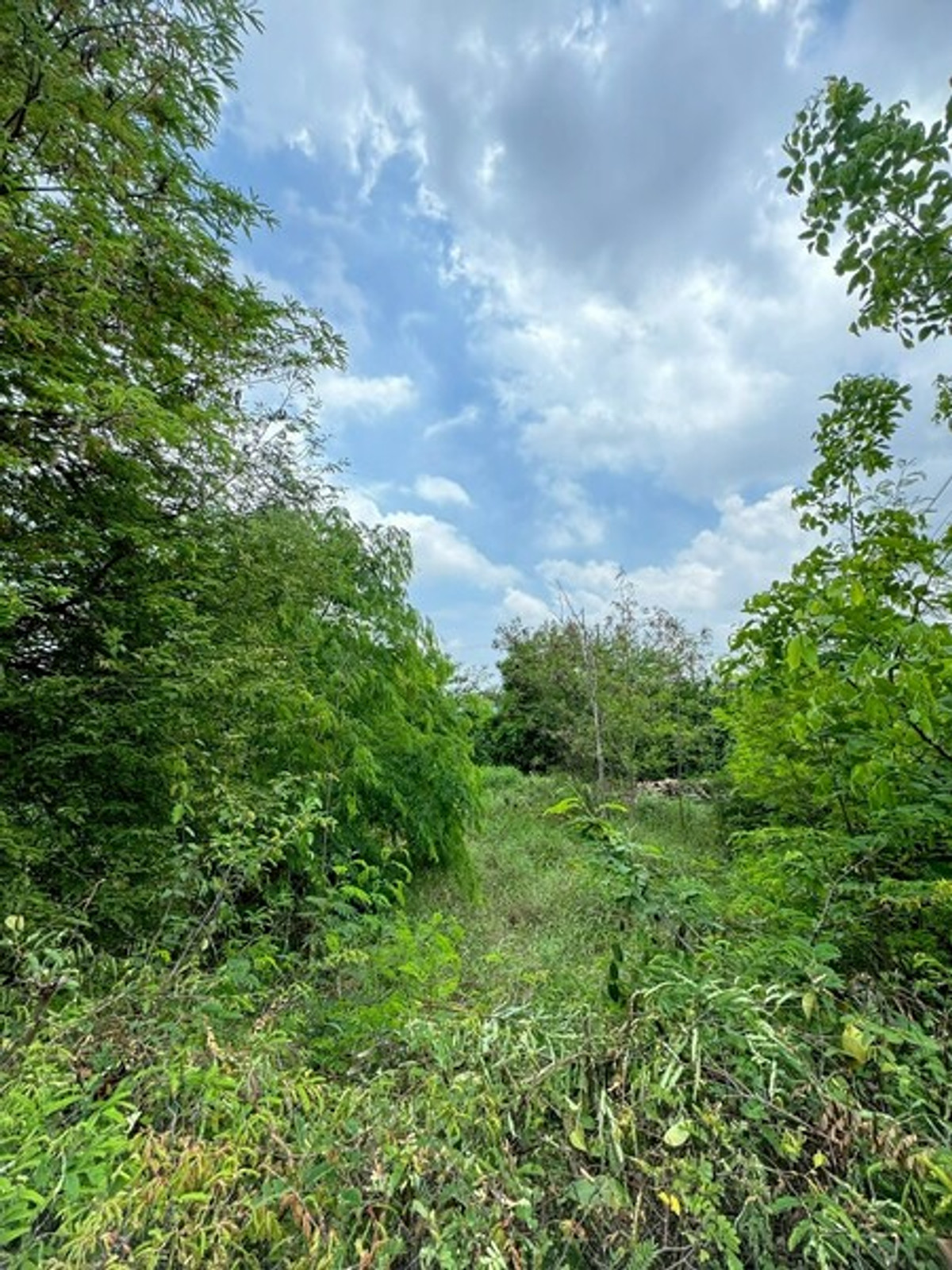 ขายที่ดินสุพรรณบุรี : 92620 - ขายที่ดินเปล่า 2ไร่ พิกัดซอยข้างแขวงการทางสุพรรณบุรี สามแยกอู่ยา ถนนมาลัยแมน อ.เมือง สุพรรณบุรี