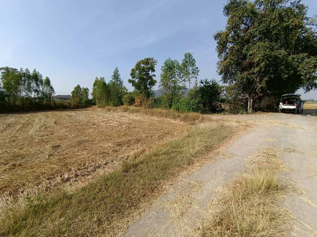 ขายที่ดินกาญจนบุรี : 95019 - ขายที่ดินเปล่า 349 ตร.ว. - ทำเลดี ติดถนนสาธารณะ น้ำ-ไฟพร้อม ต.เขาสามสิบหาบ อ.ท่ามะกา จ.กาญจนบุรี