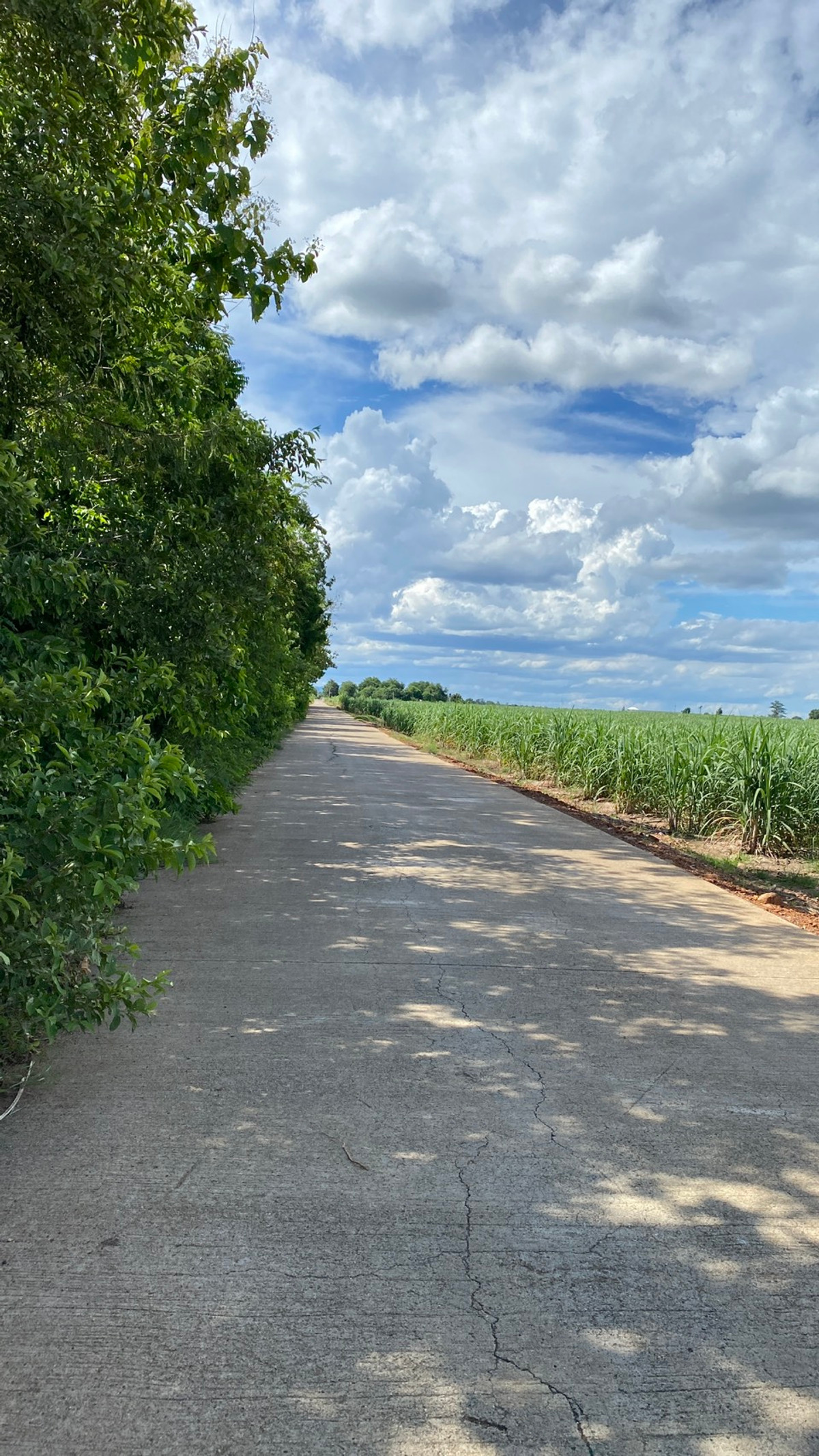 For SaleLandKanchanaburi : Empty land for sale, good location, Nong Kum Subdistrict, Bo Ploi District, Kanchanaburi Province.