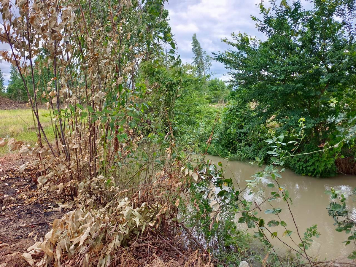 ขายที่ดินกาญจนบุรี : 95019 - ขายที่ดินเปล่า 349 ตร.ว. - ทำเลดี ติดถนนสาธารณะ น้ำ-ไฟพร้อม ต.เขาสามสิบหาบ อ.ท่ามะกา จ.กาญจนบุรี