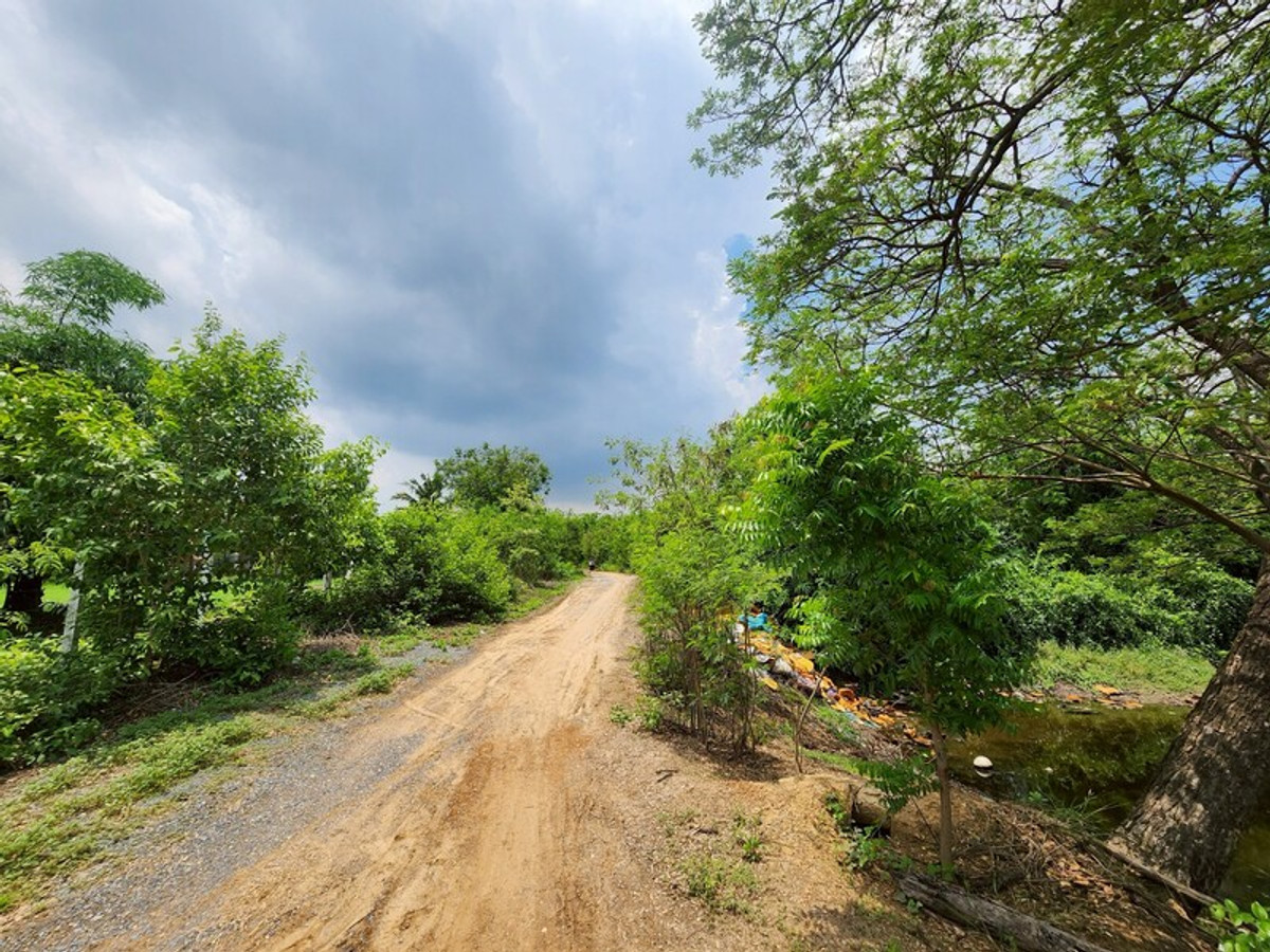 ขายที่ดินสุพรรณบุรี : 92620 - ขายที่ดินเปล่า 2ไร่ พิกัดซอยข้างแขวงการทางสุพรรณบุรี สามแยกอู่ยา ถนนมาลัยแมน อ.เมือง สุพรรณบุรี