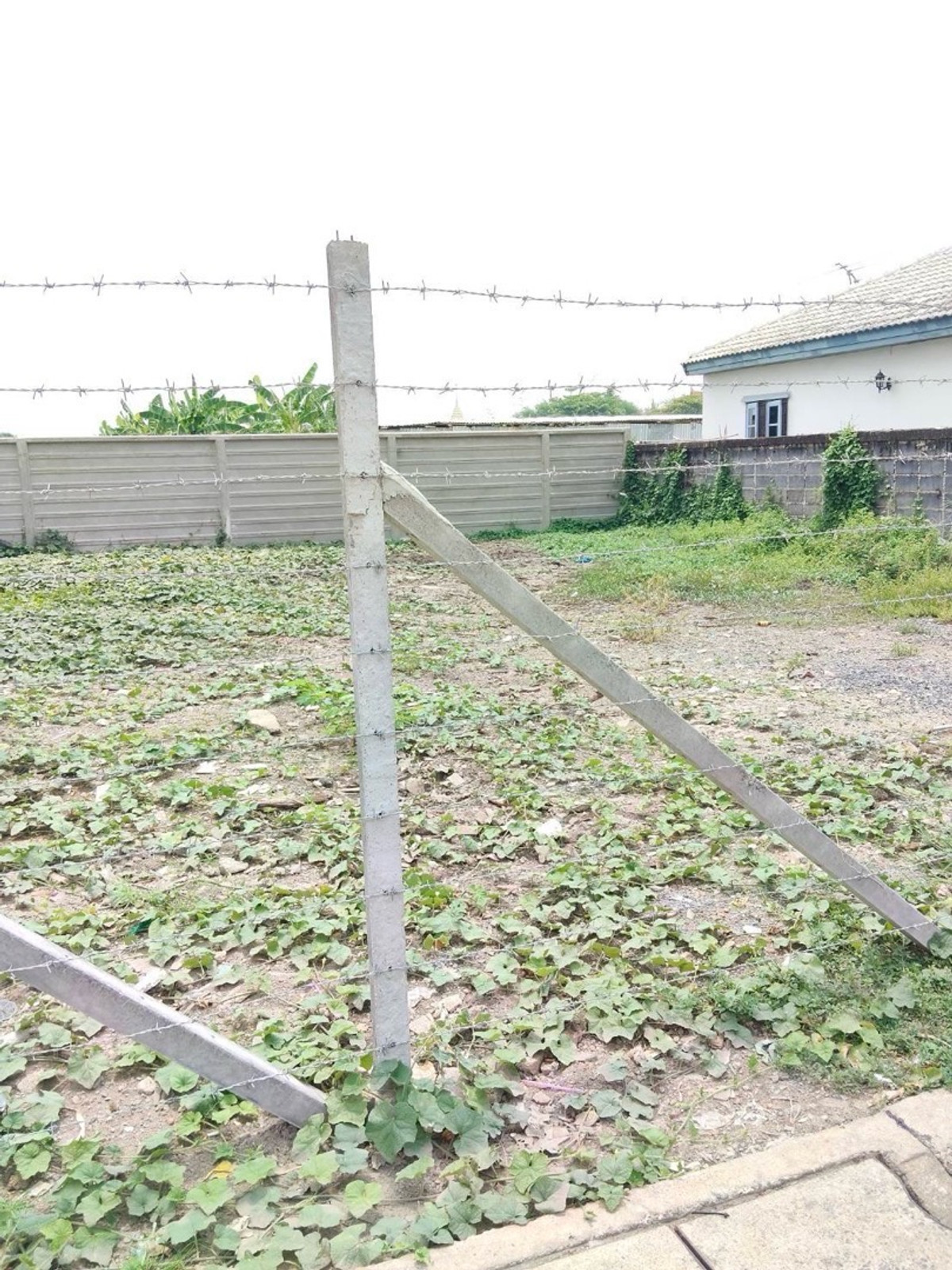 ให้เช่าที่ดินปทุมธานี รังสิต ธรรมศาสตร์ : ให้เช่าที่ดินซอยพหลโยธิน85 กว้าง20 เมตร ลึก16เมตร ขนาด 80ตรว. รังสิตปากซอยไทวัสดุ และปั้มบางจาก ซอยทะลุพหลโยธิน87 ได้