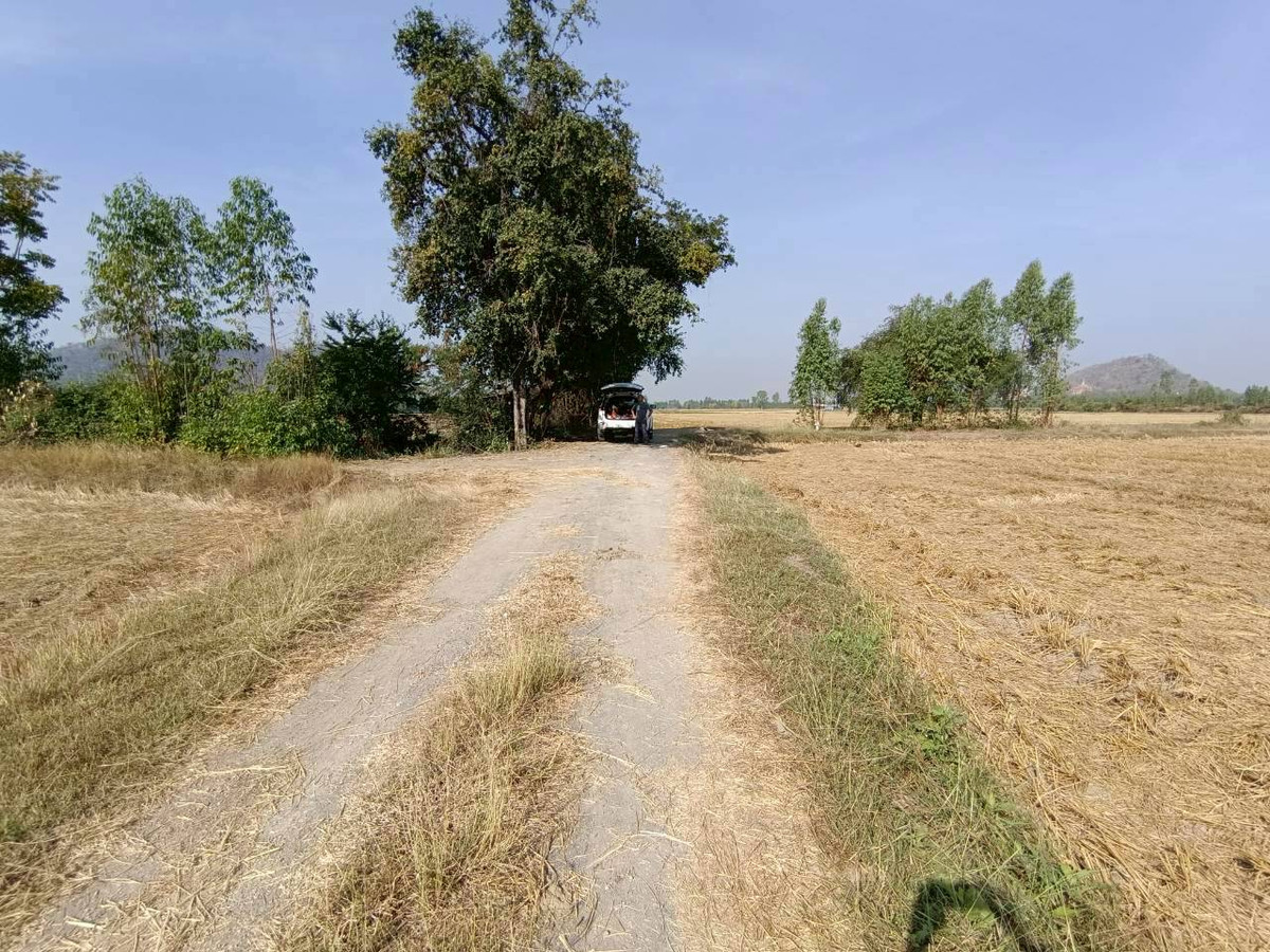 ขายที่ดินกาญจนบุรี : 95019 - ขายที่ดินเปล่า 349 ตร.ว. - ทำเลดี ติดถนนสาธารณะ น้ำ-ไฟพร้อม ต.เขาสามสิบหาบ อ.ท่ามะกา จ.กาญจนบุรี