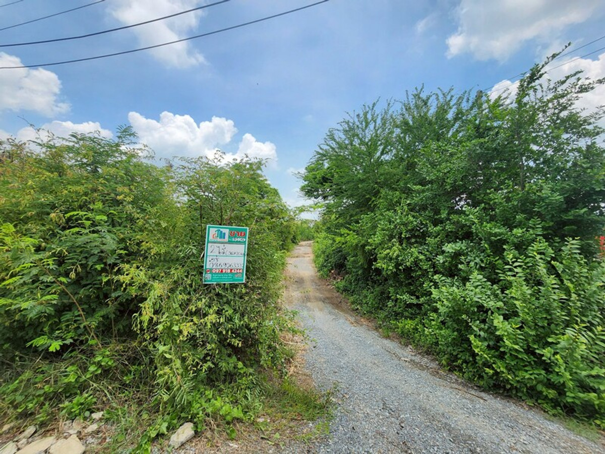 ขายที่ดินสุพรรณบุรี : 92620 - ขายที่ดินเปล่า 2ไร่ พิกัดซอยข้างแขวงการทางสุพรรณบุรี สามแยกอู่ยา ถนนมาลัยแมน อ.เมือง สุพรรณบุรี