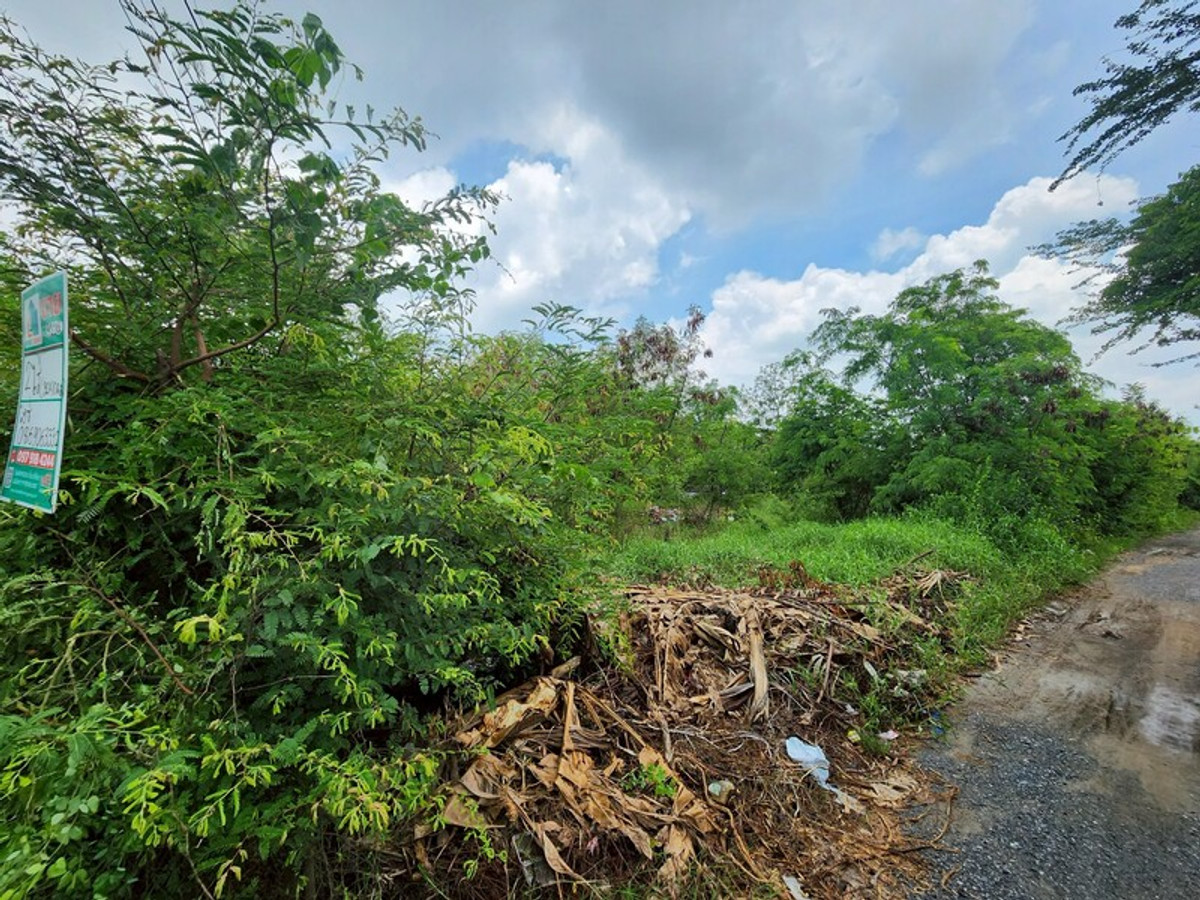 ขายที่ดินสุพรรณบุรี : 92620 - ขายที่ดินเปล่า 2ไร่ พิกัดซอยข้างแขวงการทางสุพรรณบุรี สามแยกอู่ยา ถนนมาลัยแมน อ.เมือง สุพรรณบุรี