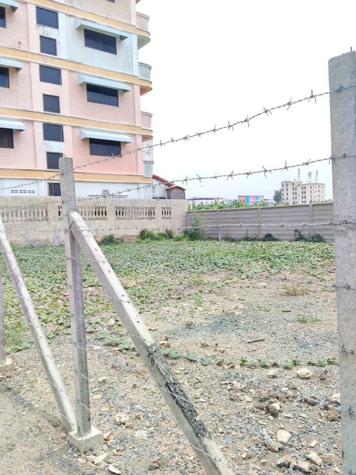 ให้เช่าที่ดินปทุมธานี รังสิต ธรรมศาสตร์ : ให้เช่าที่ดินซอยพหลโยธิน85 กว้าง20 เมตร ลึก16เมตร ขนาด 80ตรว. รังสิตปากซอยไทวัสดุ และปั้มบางจาก ซอยทะลุพหลโยธิน87 ได้