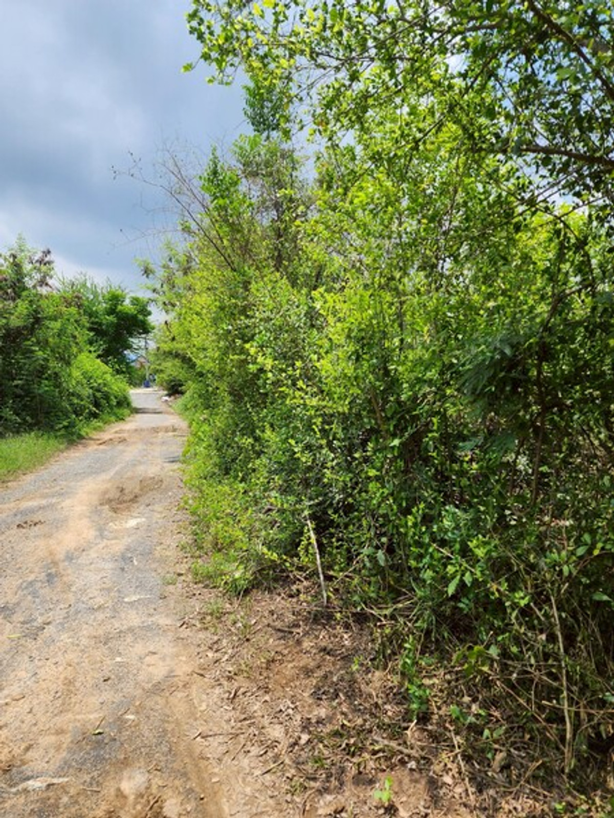 ขายที่ดินสุพรรณบุรี : 92620 - ขายที่ดินเปล่า 2ไร่ พิกัดซอยข้างแขวงการทางสุพรรณบุรี สามแยกอู่ยา ถนนมาลัยแมน อ.เมือง สุพรรณบุรี