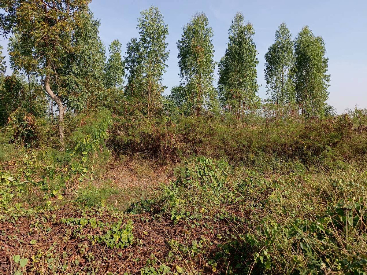 ขายที่ดินกาญจนบุรี : 95019 - ขายที่ดินเปล่า 349 ตร.ว. - ทำเลดี ติดถนนสาธารณะ น้ำ-ไฟพร้อม ต.เขาสามสิบหาบ อ.ท่ามะกา จ.กาญจนบุรี