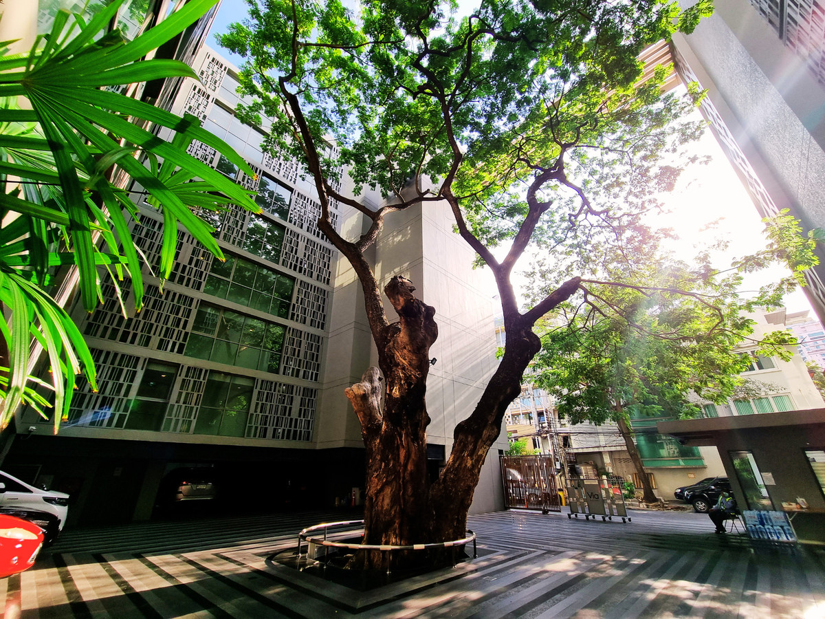 For RentCondoSukhumvit, Asoke, Thonglor : ✨ 𝗩𝗶𝗮 𝗕𝗼𝘁𝗮𝗻𝗶 𝗦𝘂𝗸𝗵𝘂𝗺𝘃𝗶𝘁 𝟰𝟳: 𝗟𝘂𝘅𝘂𝗿𝗶𝗼𝘂𝘀 𝟮-𝗕𝗲𝗱𝗿𝗼𝗼𝗺 𝗖𝗼𝗻𝗱𝗼 𝗳𝗼𝗿 𝗥𝗲𝗻𝘁 𝗶𝗻 𝗧𝗵𝗼𝗻𝗴𝗹𝗼𝗿-𝗣𝗵𝗿𝗼𝗺 𝗣𝗵𝗼𝗻𝗴! ✨