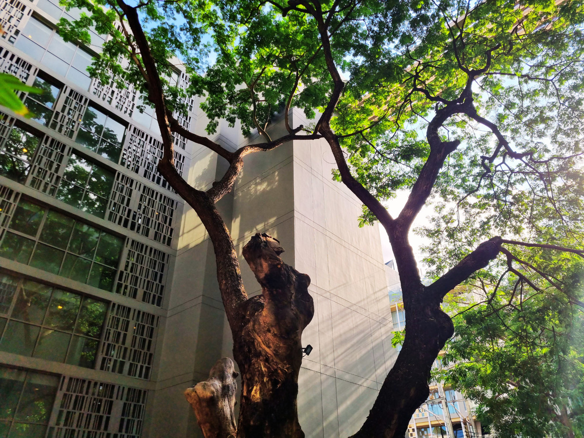 For RentCondoSukhumvit, Asoke, Thonglor : ✨ 𝗩𝗶𝗮 𝗕𝗼𝘁𝗮𝗻𝗶 𝗦𝘂𝗸𝗵𝘂𝗺𝘃𝗶𝘁 𝟰𝟳: 𝗟𝘂𝘅𝘂𝗿𝗶𝗼𝘂𝘀 𝟮-𝗕𝗲𝗱𝗿𝗼𝗼𝗺 𝗖𝗼𝗻𝗱𝗼 𝗳𝗼𝗿 𝗥𝗲𝗻𝘁 𝗶𝗻 𝗧𝗵𝗼𝗻𝗴𝗹𝗼𝗿-𝗣𝗵𝗿𝗼𝗺 𝗣𝗵𝗼𝗻𝗴! ✨