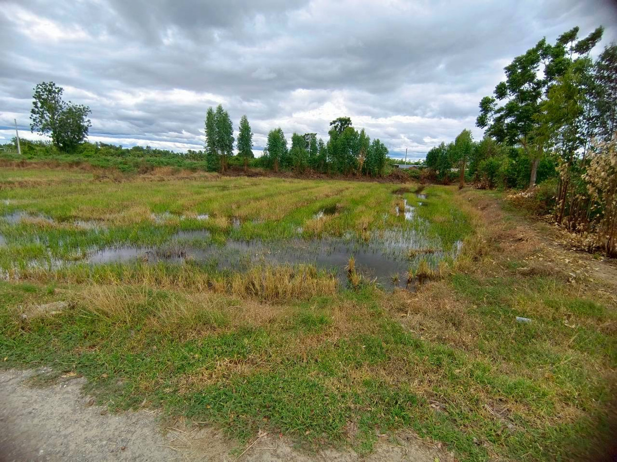 For SaleLandKanchanaburi : 95019 - Empty land for sale, area 349 sq m., Khao Samip Hap Subdistrict, Tha Maka District, Kanchanaburi Province, near community areas. Surrounded by nature and tourist attractions. Next to a public road Water-electricity system ready