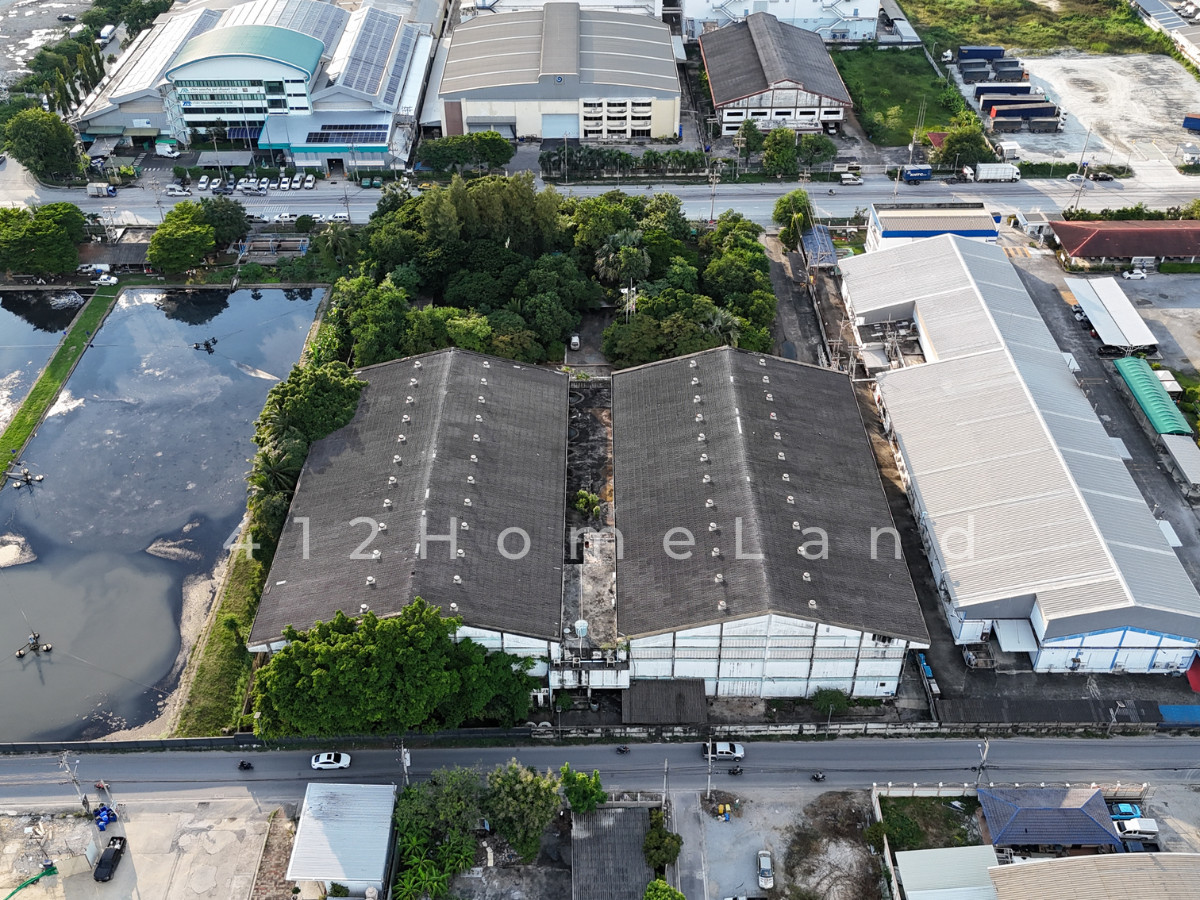 ขายโกดังสมุทรปราการ สำโรง : ขายโกดัง อาคารคู่ 4,300 ตร.ม.เนื้อที่ 7-2-42 ไร่ ผังสีม่วง ขอใบรง.4 ได้ บางเสาธง สมุทรปราการ