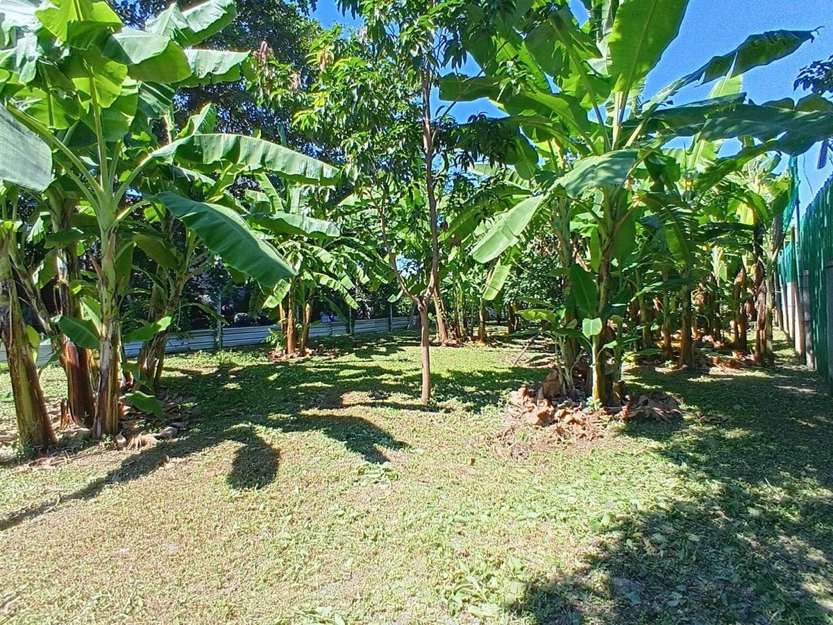 For SaleLandChaengwatana, Muangthong : Land for sale in the middle of the city, very good location, orange layout.