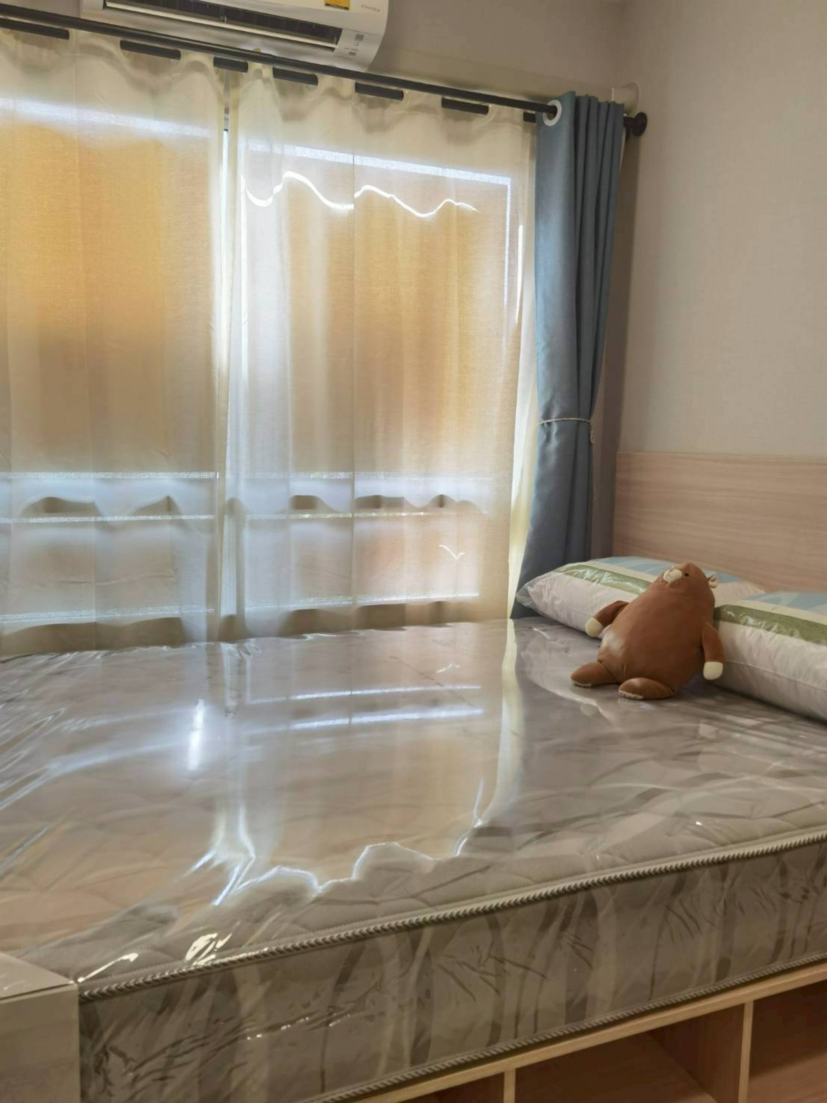 For RentCondoPathum Thani,Rangsit, Thammasat : 🏡 For rent Plum Alive 2💖 ✨ Building C, 5th floor, pool view