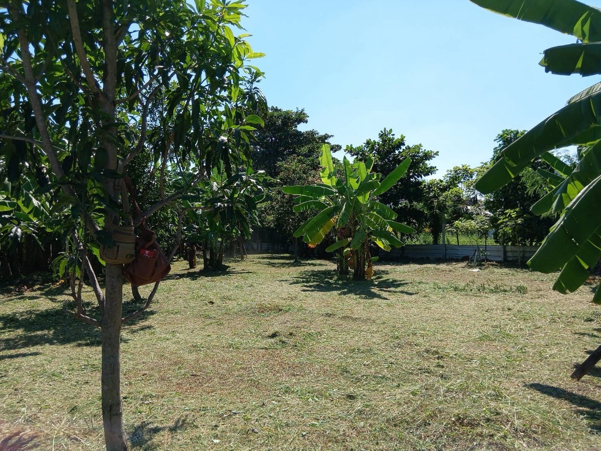 For SaleLandChaengwatana, Muangthong : Land for sale in the middle of the city, very good location, orange layout.