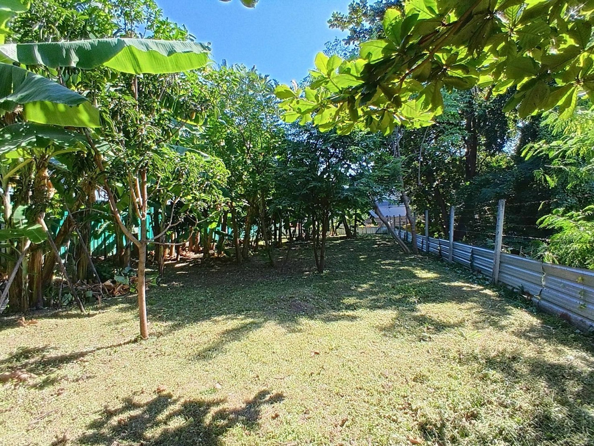 ขายที่ดินแจ้งวัฒนะ เมืองทอง : ขายที่ดินกลางเมือง ทำเลดีมาก ผังสีส้ม 