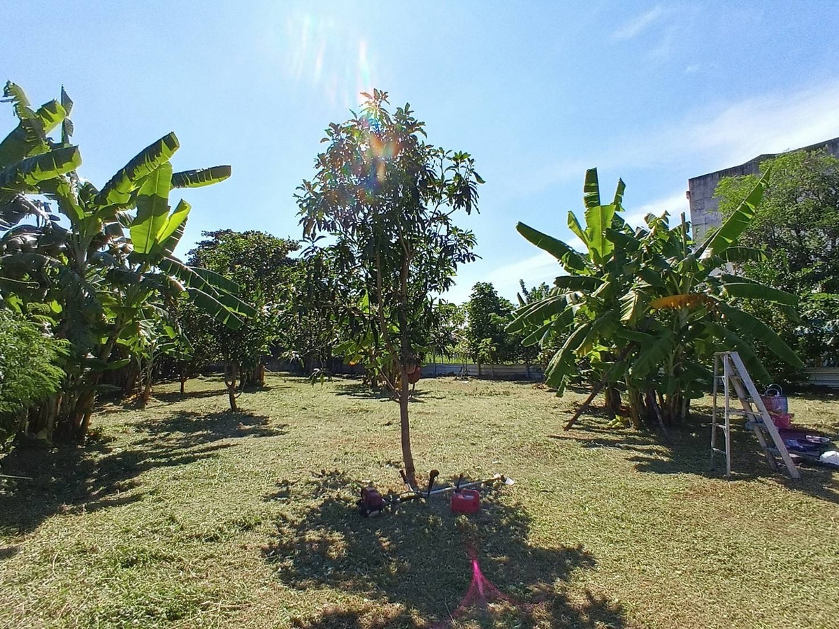 For SaleLandChaengwatana, Muangthong : Land for sale in the middle of the city, very good location, orange layout.