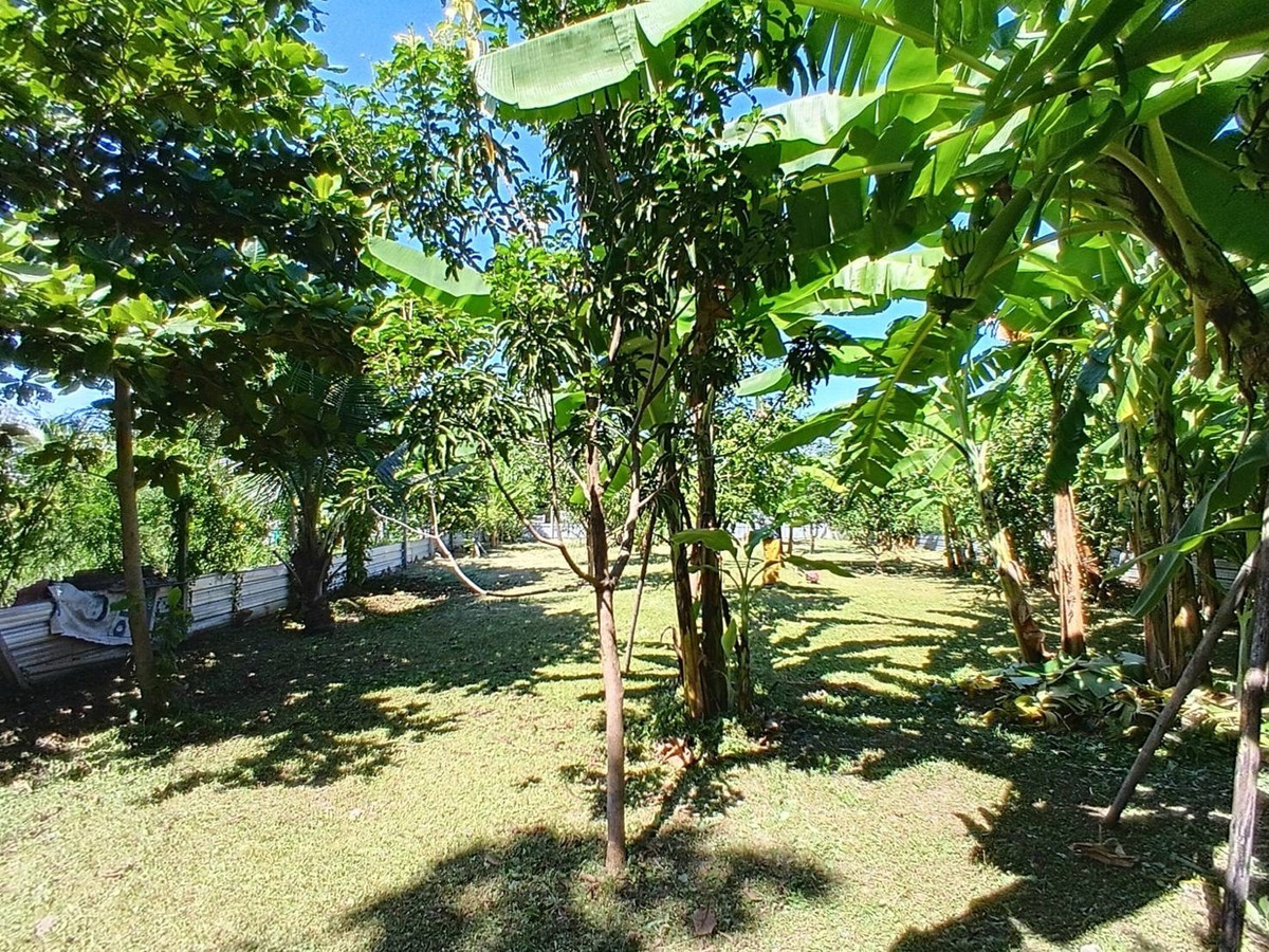 For SaleLandChaengwatana, Muangthong : Land for sale in the middle of the city, very good location, orange layout.