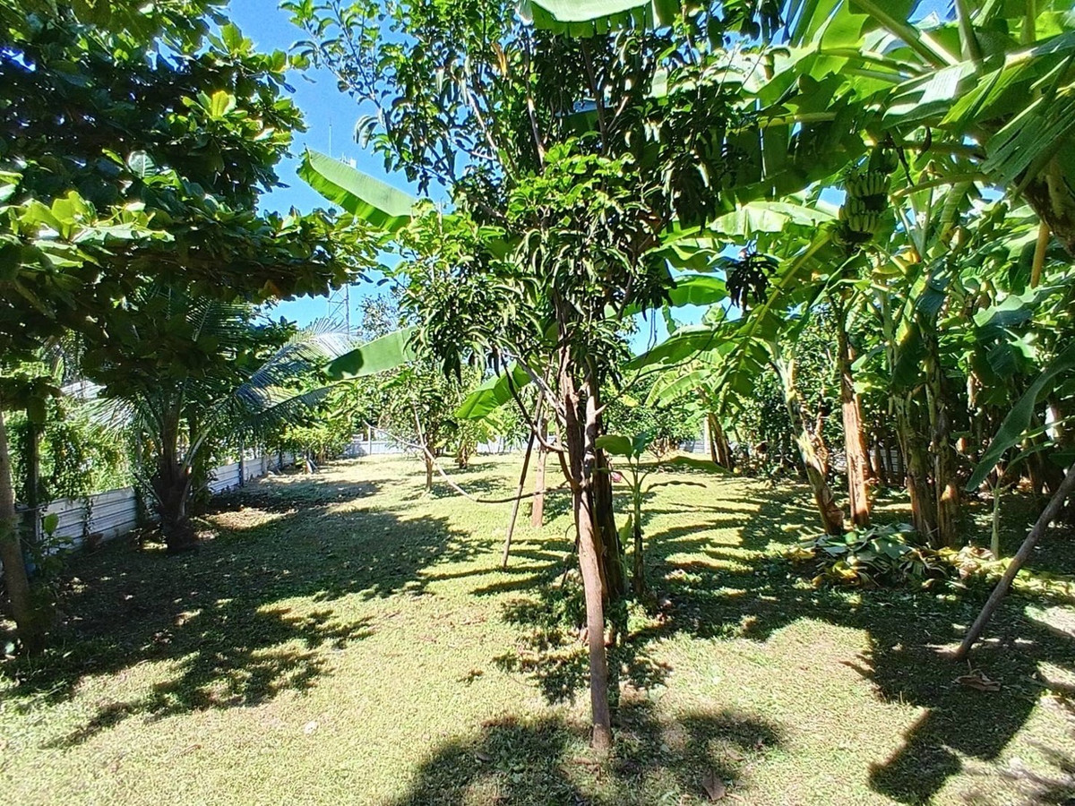 For SaleLandChaengwatana, Muangthong : Land for sale in the middle of the city, very good location, orange layout.