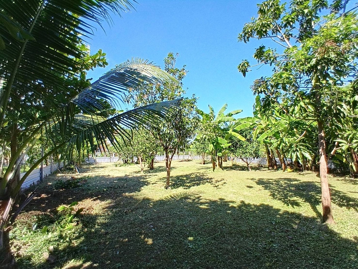 For SaleLandChaengwatana, Muangthong : Land for sale in the middle of the city, very good location, orange layout.