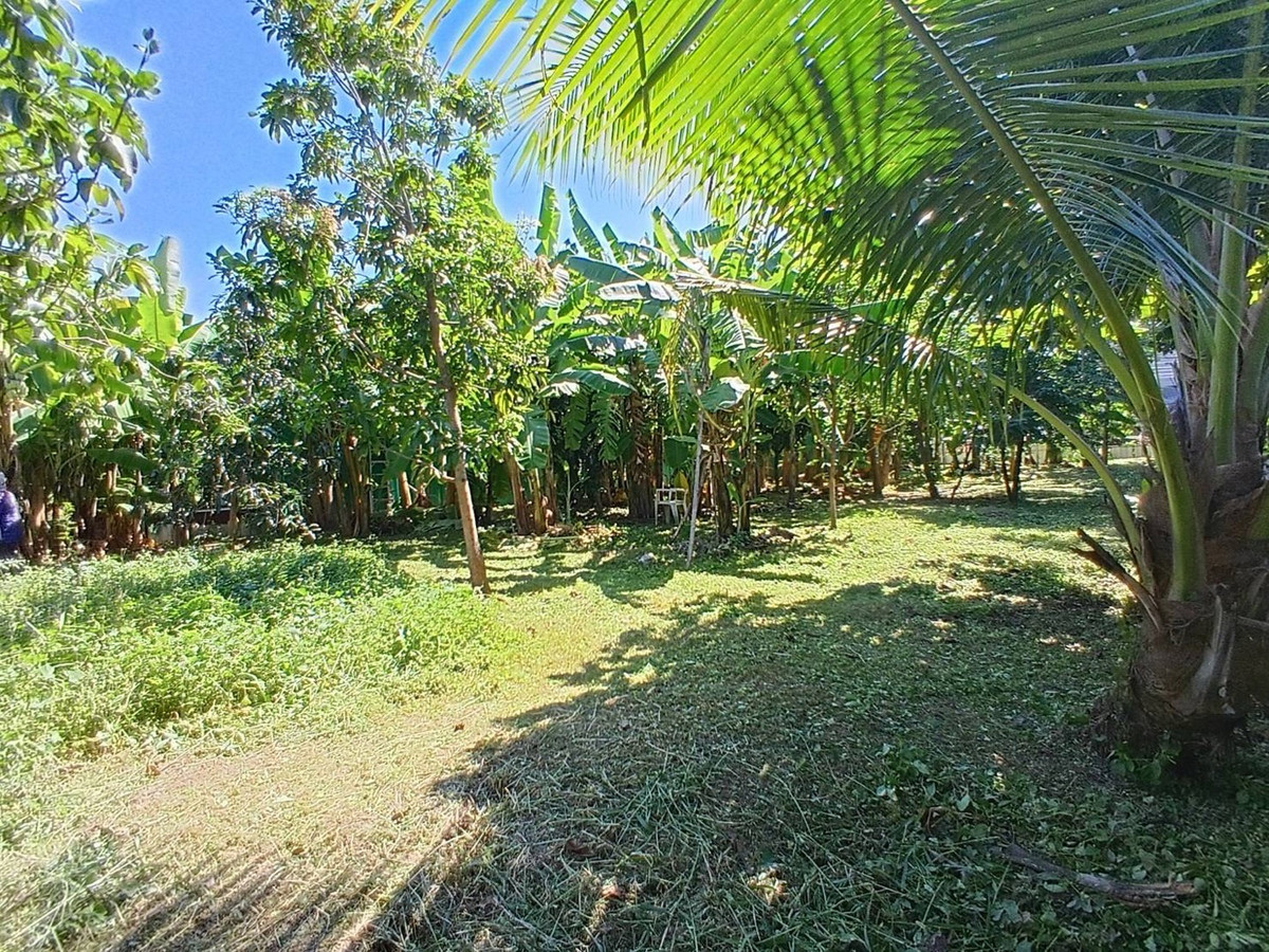 For SaleLandChaengwatana, Muangthong : Land for sale in the middle of the city, very good location, orange layout.