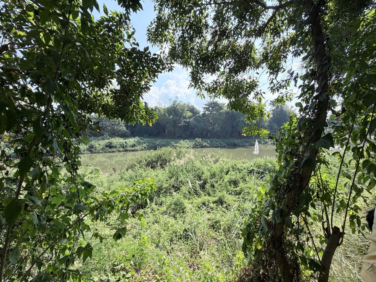 ขายที่ดินลำปาง : [Land Lampang] ขายด่วน! ที่ดิน 1 ไร่กว่า ริมแม่น้ำวัง วิวดี ใกล้เมืองลำปาง เหมาะสร้าง Private Luxury Villa รีสอร์ท ร้านอาหาร ลานแคมป์ปิ้ง