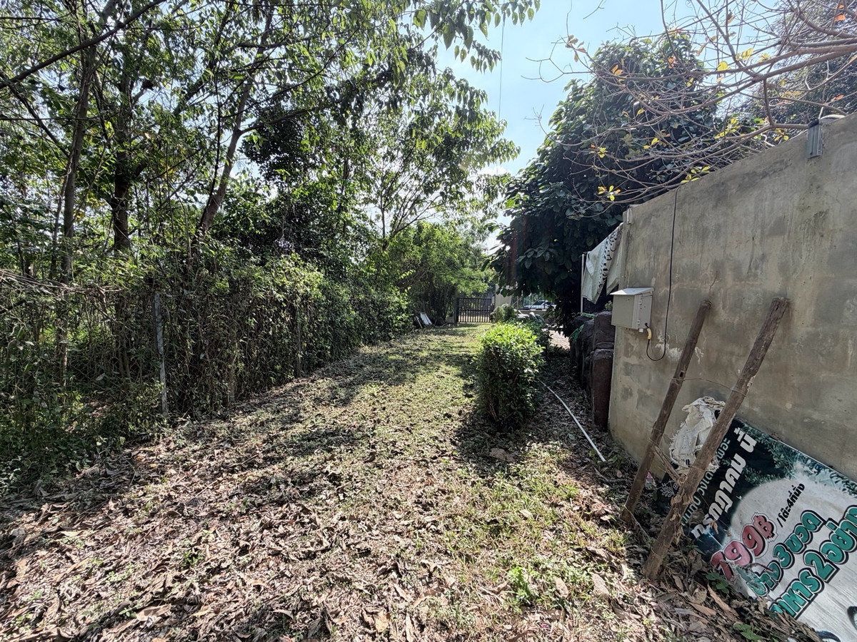 ขายที่ดินลำปาง : [Land Lampang] ขายด่วน! ที่ดิน 1 ไร่กว่า ริมแม่น้ำวัง วิวดี ใกล้เมืองลำปาง เหมาะสร้าง Private Luxury Villa รีสอร์ท ร้านอาหาร ลานแคมป์ปิ้ง