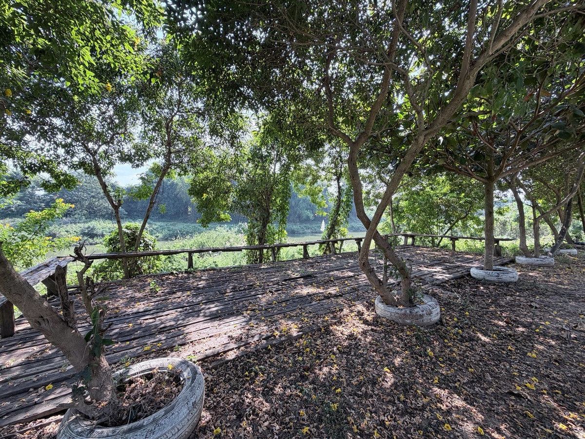 ขายที่ดินลำปาง : [Land Lampang] ขายด่วน! ที่ดิน 1 ไร่กว่า ริมแม่น้ำวัง วิวดี ใกล้เมืองลำปาง เหมาะสร้าง Private Luxury Villa รีสอร์ท ร้านอาหาร ลานแคมป์ปิ้ง