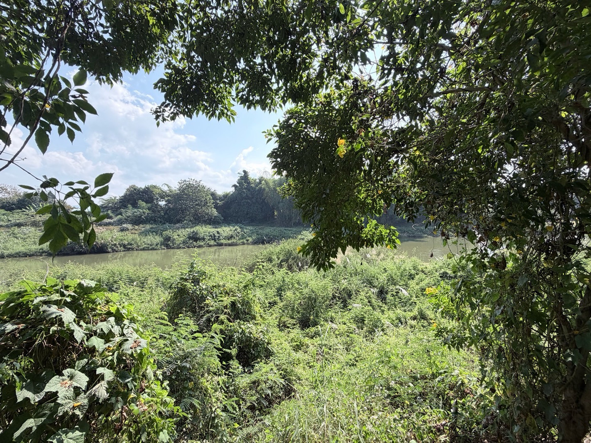 ขายที่ดินลำปาง : [Land Lampang] ขายด่วน! ที่ดิน 1 ไร่กว่า ริมแม่น้ำวัง วิวดี ใกล้เมืองลำปาง เหมาะสร้าง Private Luxury Villa รีสอร์ท ร้านอาหาร ลานแคมป์ปิ้ง